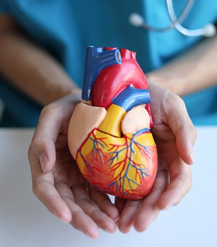 CARDIOVASCULAR