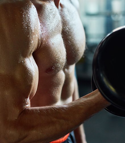 MUSCULAÇÃO
